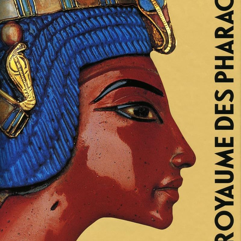 Au royaume des pharaons Relié – 24 février 2011 de ZAHI HAWASS (Auteur), ARALDO DE LUCA (Photographies), MARIE-ODILE KASTNER (Traduction)