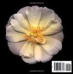 The Infinite Rose Relié – 14 janvier 2004 Édition en Anglais  de Harold Feinstein (Auteur) 4,6 4,6 sur 5 étoiles   (33) – Image 2