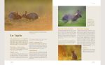 Les secrets de la photo de nature: Technique - Pratique - Matériel Broché – Illustré, 2 mai 2024 de Erwan Balança (Auteur) – Image 4