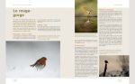 Les secrets de la photo de nature: Technique - Pratique - Matériel Broché – Illustré, 2 mai 2024 de Erwan Balança (Auteur) – Image 6