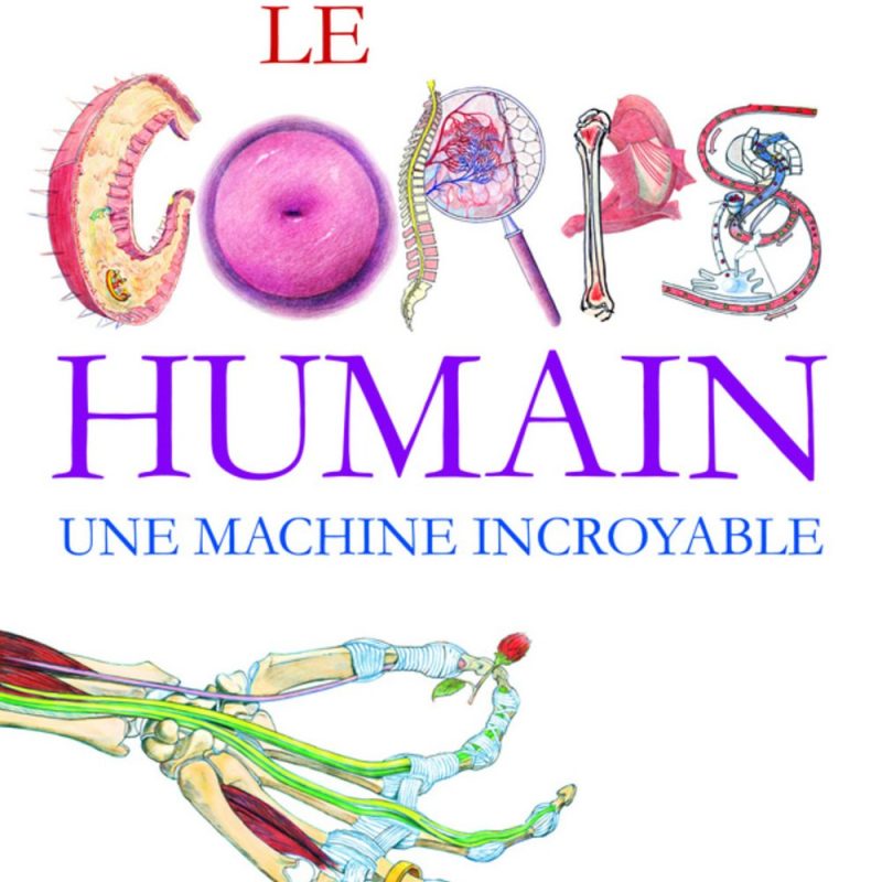 Le corps humain: Une machine incroyable Broché –  de David Macaulay (Auteur), Richard Walker (Auteur), Sylvie Sargueil (Traduction)