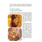 Apprendre à faire ses graines et semences: Guide pratique illustré de Dimitris Karakousis (Auteur)  Format : Broché – Image 2