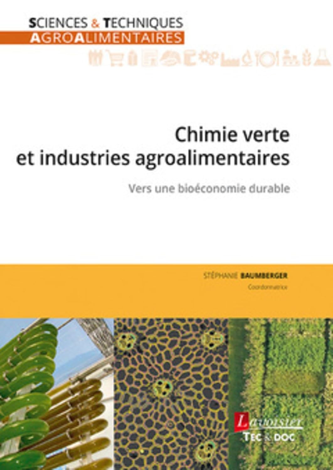 Chimie verte et industries agroalimentaires Chimie verte et industries agroalimentaires: Vers une bioéconomie durable de Marie-Noëlle BELLON-FONTAINE (Auteur), Stéphanie BAUMBERGER (Auteur) Format : Broché – Image 1