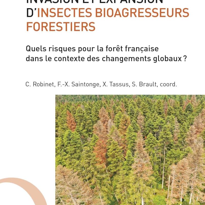 Invasion et expansion d'insectes bioagresseurs forestiers: Quels risques pour la forêt française dans le contexte des changements globaux ? de Christelle Robinet (Auteur), François-Xavier Saintonge (Auteur), Xavier Tassus (Auteur), Stéphane Brault (Auteur)  Format : Broché