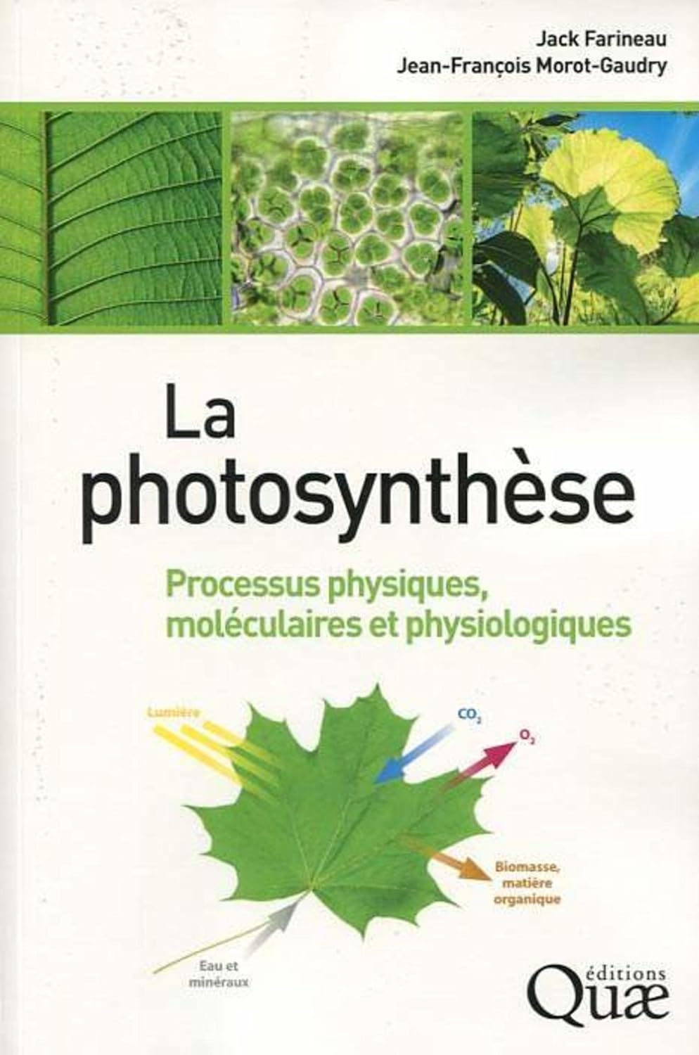La photosynthèse La photosynthèse: Processus physiques, moléculaires et physiologiques de Jack Farineau (Auteur), Jean-François Morot-Gaudry (Auteur) Format : Broché – Image 1