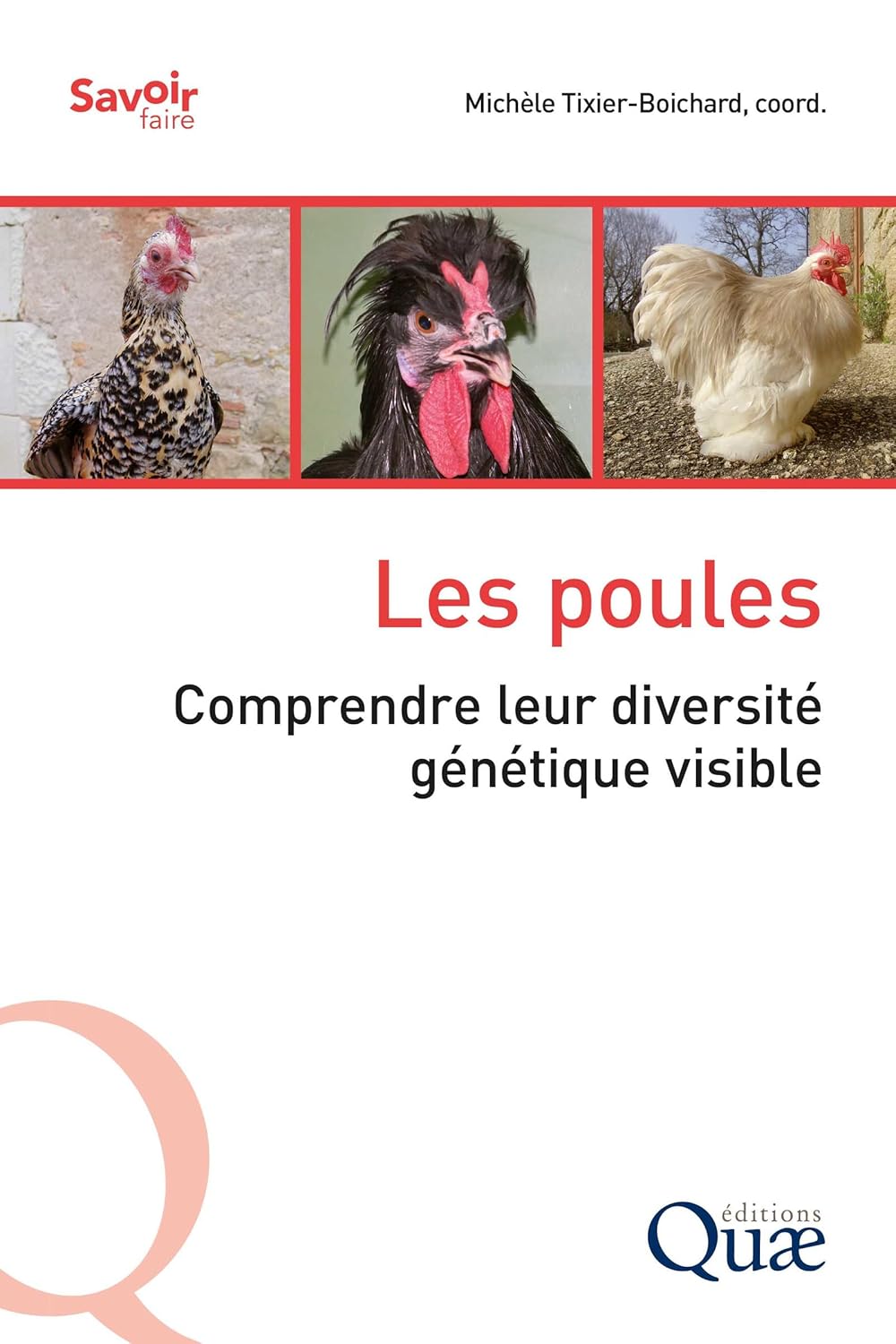 Les poules Les poules: Comprendre leur diversité génétique visible de Michèle Tixier-Boichard (Auteur) Format : Broché – Image 1