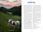 Réussir ses fromages à la maison: Frais ou affinés, yaourts, beurre, crème... Broché – Illustré, de MARIE Chioca (Auteur) – Image 3