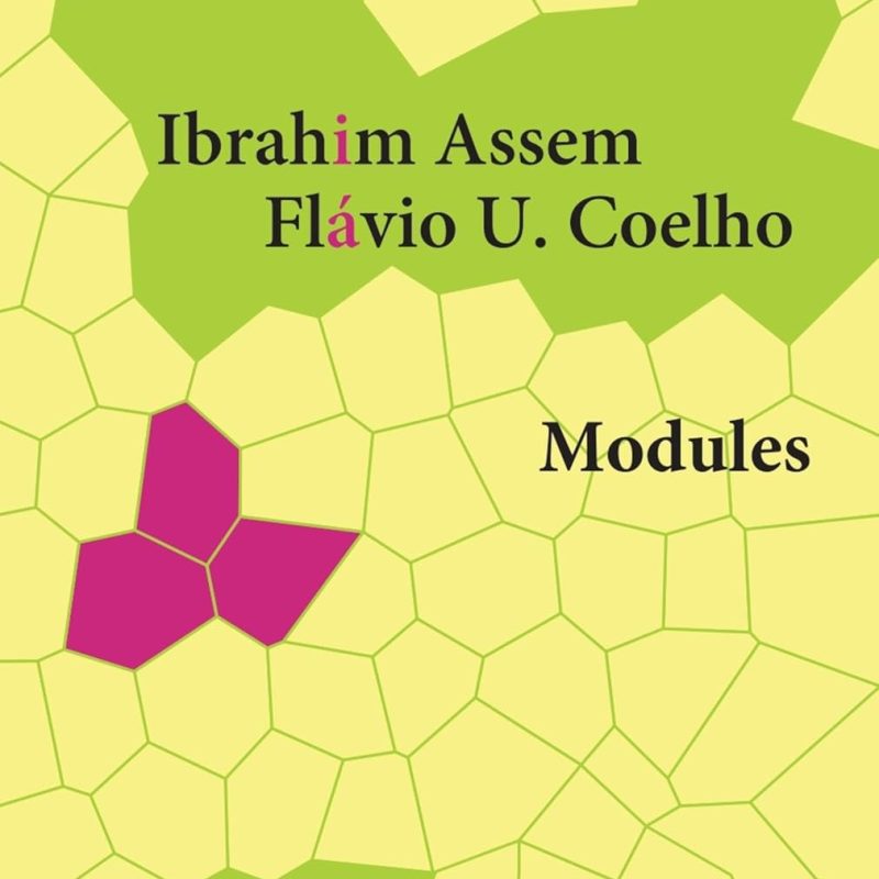 Modules de Ibrahim Assem (Auteur), Flávio Coelho (Auteur)  Format : Broché